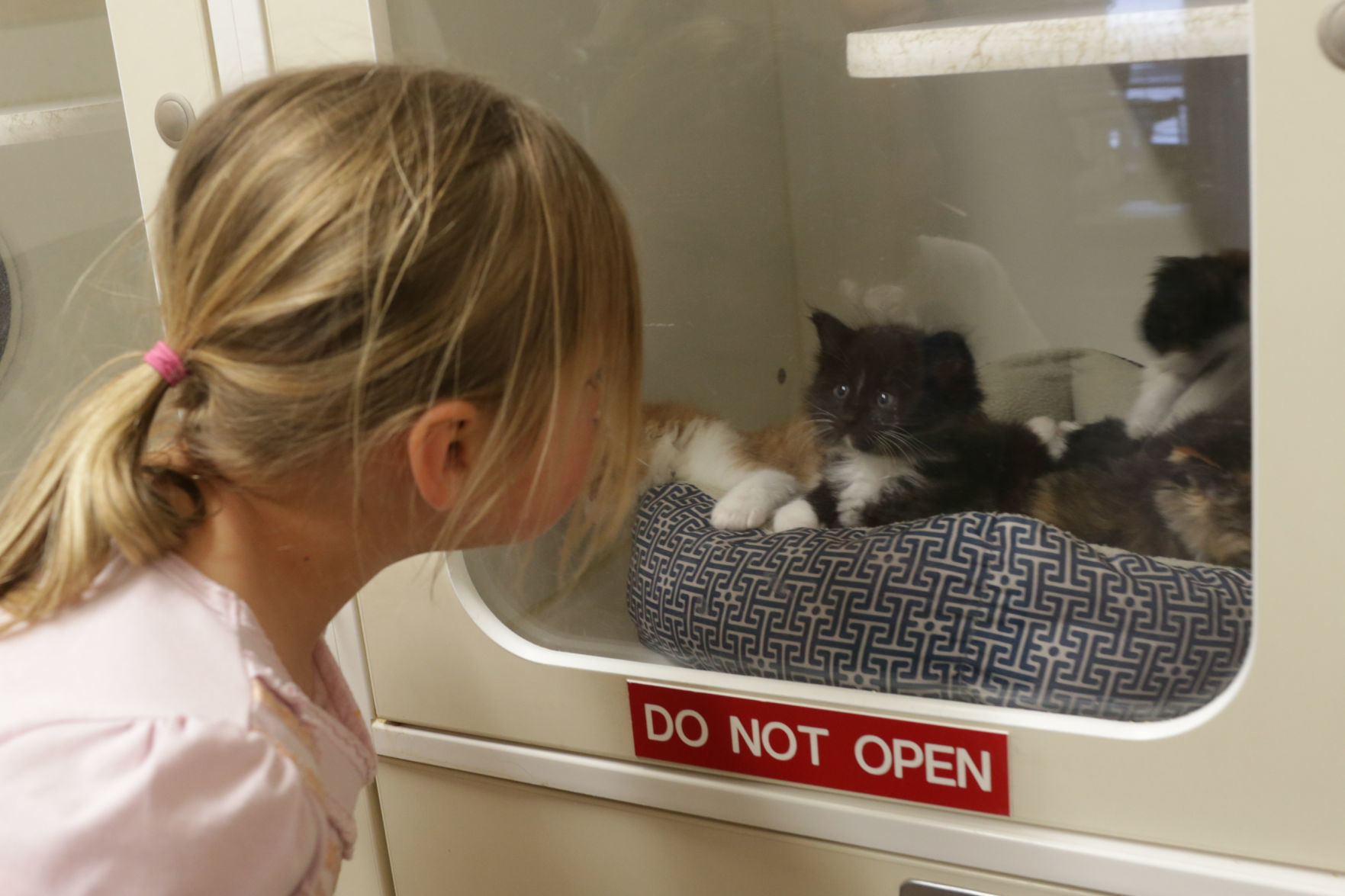 animal shelter
